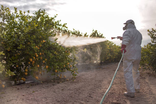 Pest Prevention Services in New Ulm, MN