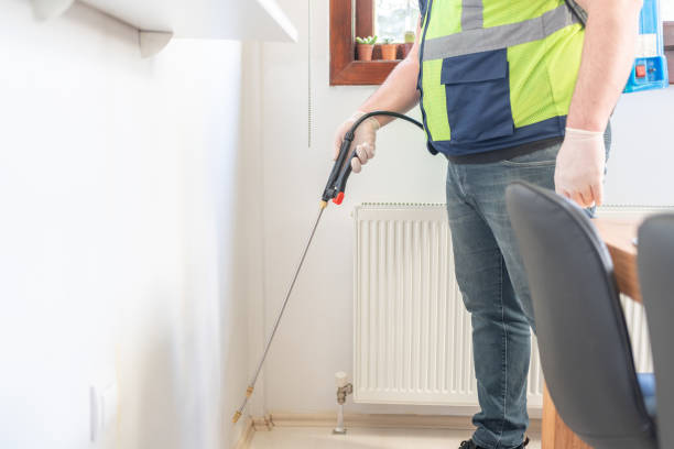 Reliable New Ulm, MN Pest Control Solutions